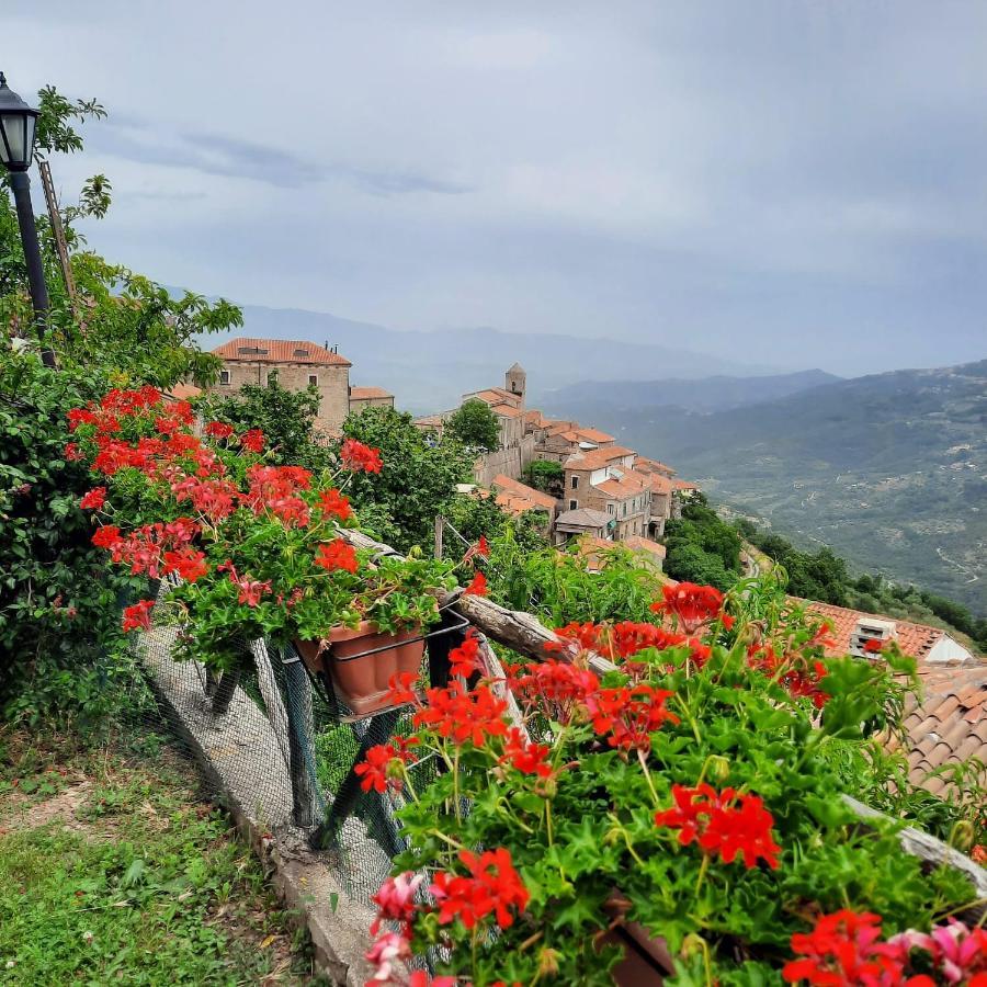 فيلا Il Giardino Del Borgo Rocca Cilento المظهر الخارجي الصورة