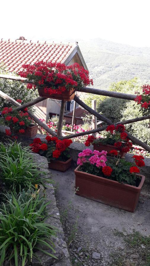 فيلا Il Giardino Del Borgo Rocca Cilento المظهر الخارجي الصورة