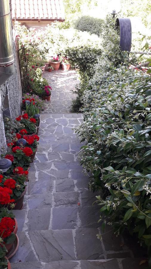 فيلا Il Giardino Del Borgo Rocca Cilento المظهر الخارجي الصورة